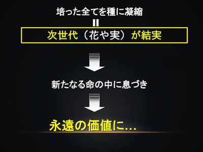 02 種に凝縮し、次世代に結実