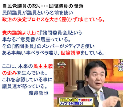 民間議員