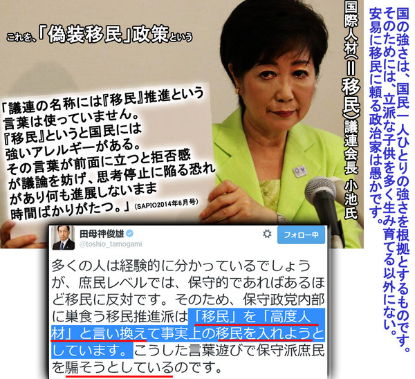 小池 国際人材議連会長 これを偽装移民政策という