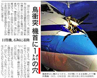 鳥がぶつかるだけで穴が空く。鉄筋ビルは崩壊しません03