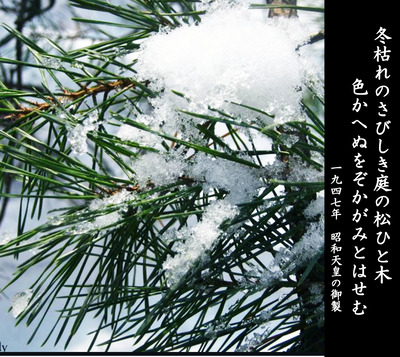 冬枯れのさびしき庭の松ひと木s