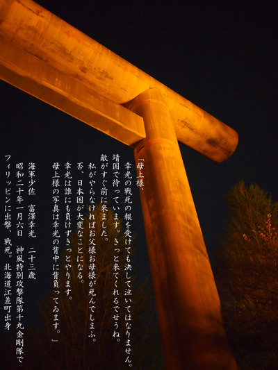 私がやらなければ日本国が大変なことになるs