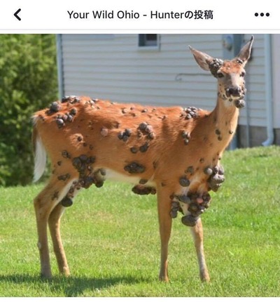 沢山いる