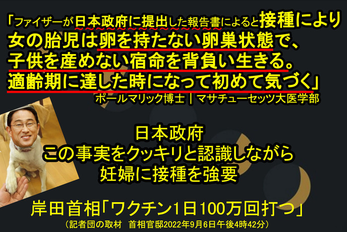 女の胎児は卵を持たない卵巣