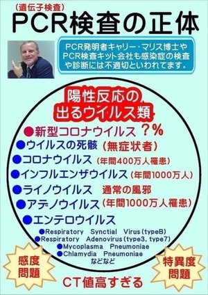 PCR検査の正体