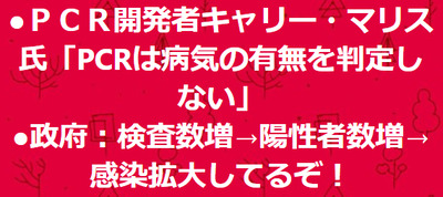 陽性は感染ではない