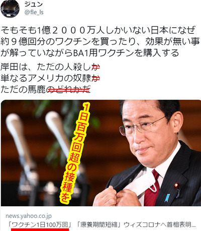 ワクチン一日百万回以上打つ