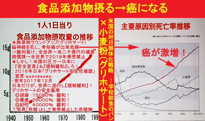 食品添加物→癌