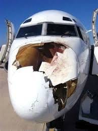飛行機は鳥がぶつかるだけで穴が空く