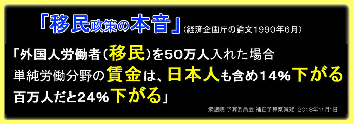 移民政策の本音　低賃金化　経団連　経済企画庁論文4