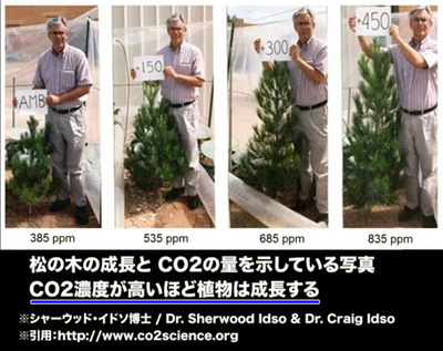 いわんかな　CO2濃度が高いほど植物は成長する