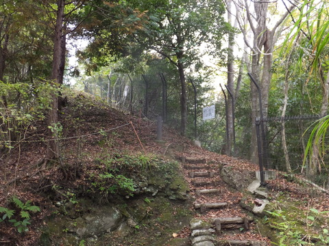 DSCF0643