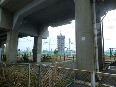 DSCF3381