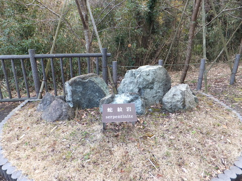 DSCF9228