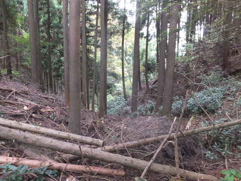DSCF0688
