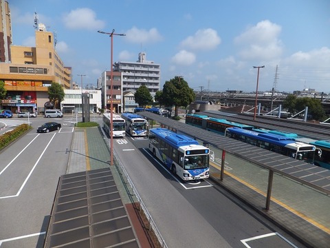 hongo (15)