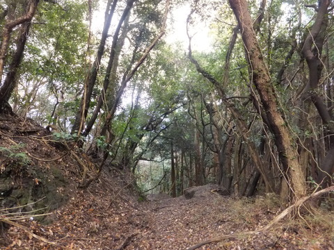 DSCF9212