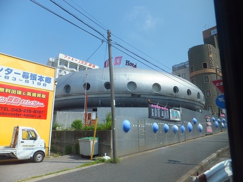 hongo (11)