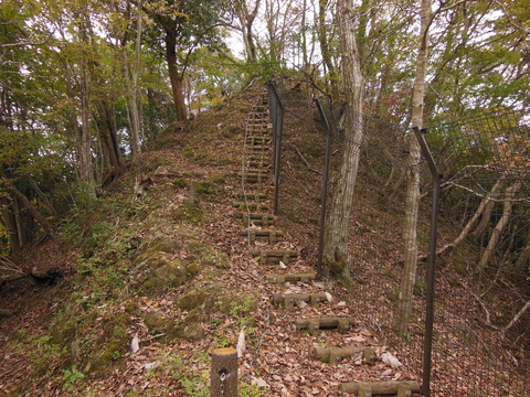 DSCN0547