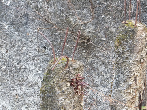 DSCF9226