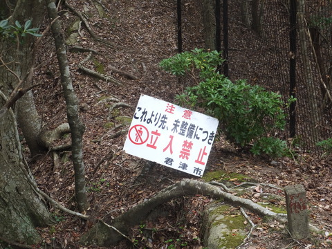 DSCF0662
