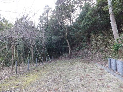 DSCF9261