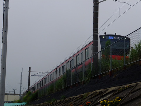 DSCF8109