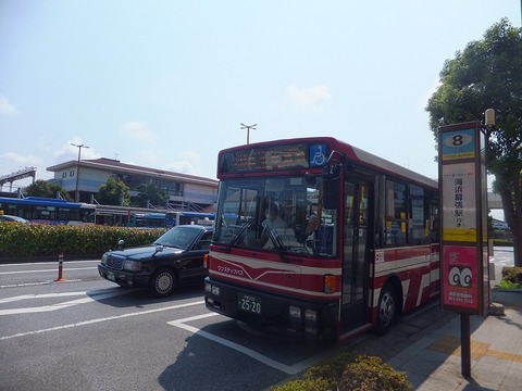 hongo (13)