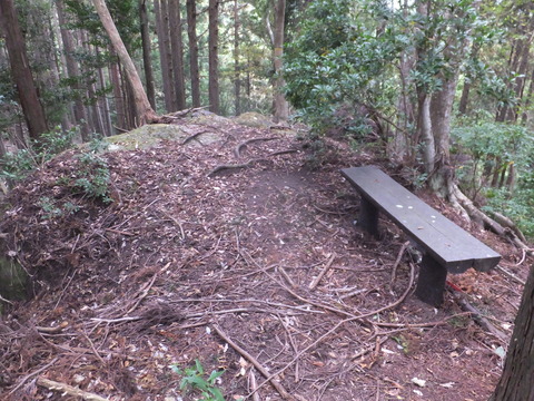 DSCF0678