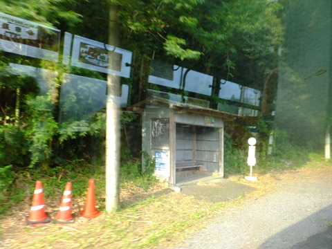 DSCF8129