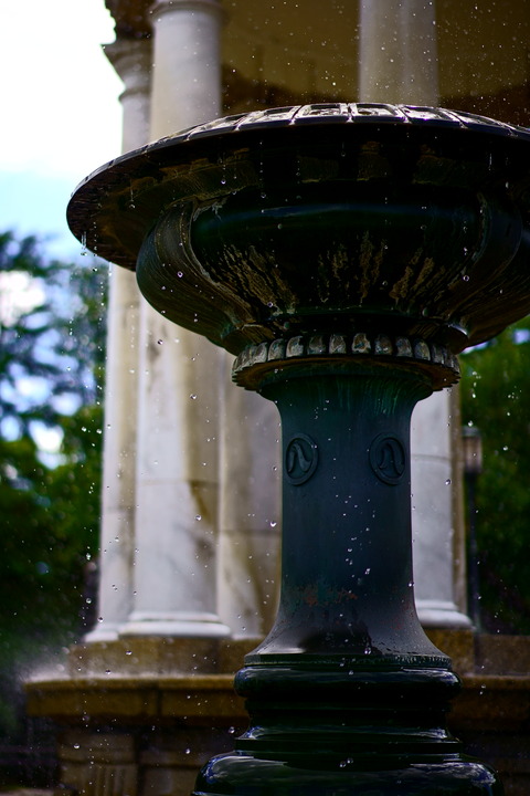 DSC06290
