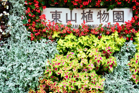 DSC05459