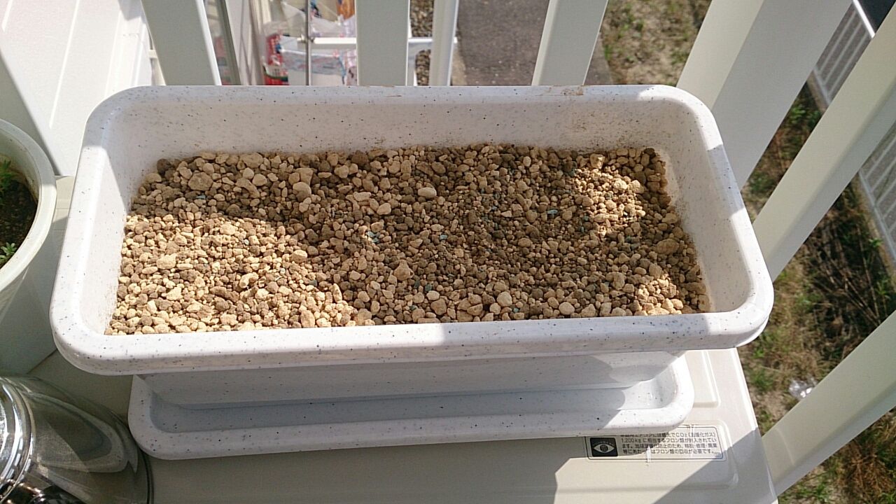 リトープスの種まき あいたろう多肉植物日記 リトープスの種まき あいたろう多肉植物日記