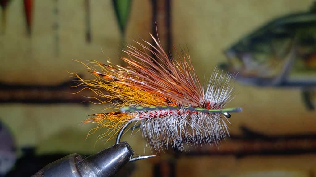 ホフマン ハックル ダイドグリズリー ダン + ハックルガード ホフマン ハックル ダイドグリズリー ダン + ハックルガード ホフマン