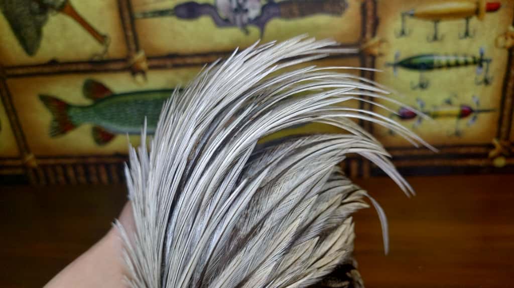 メッツネックハックルケープ#3シルバーバジャー : AIRのブログ