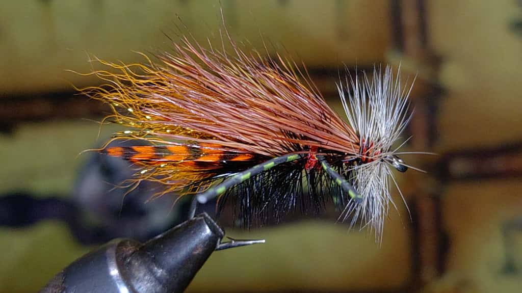 ホフマン ハックル ダイドグリズリー ダン + ハックルガード ホフマン ハックル ダイドグリズリー ダン + ハックルガード ホフマン