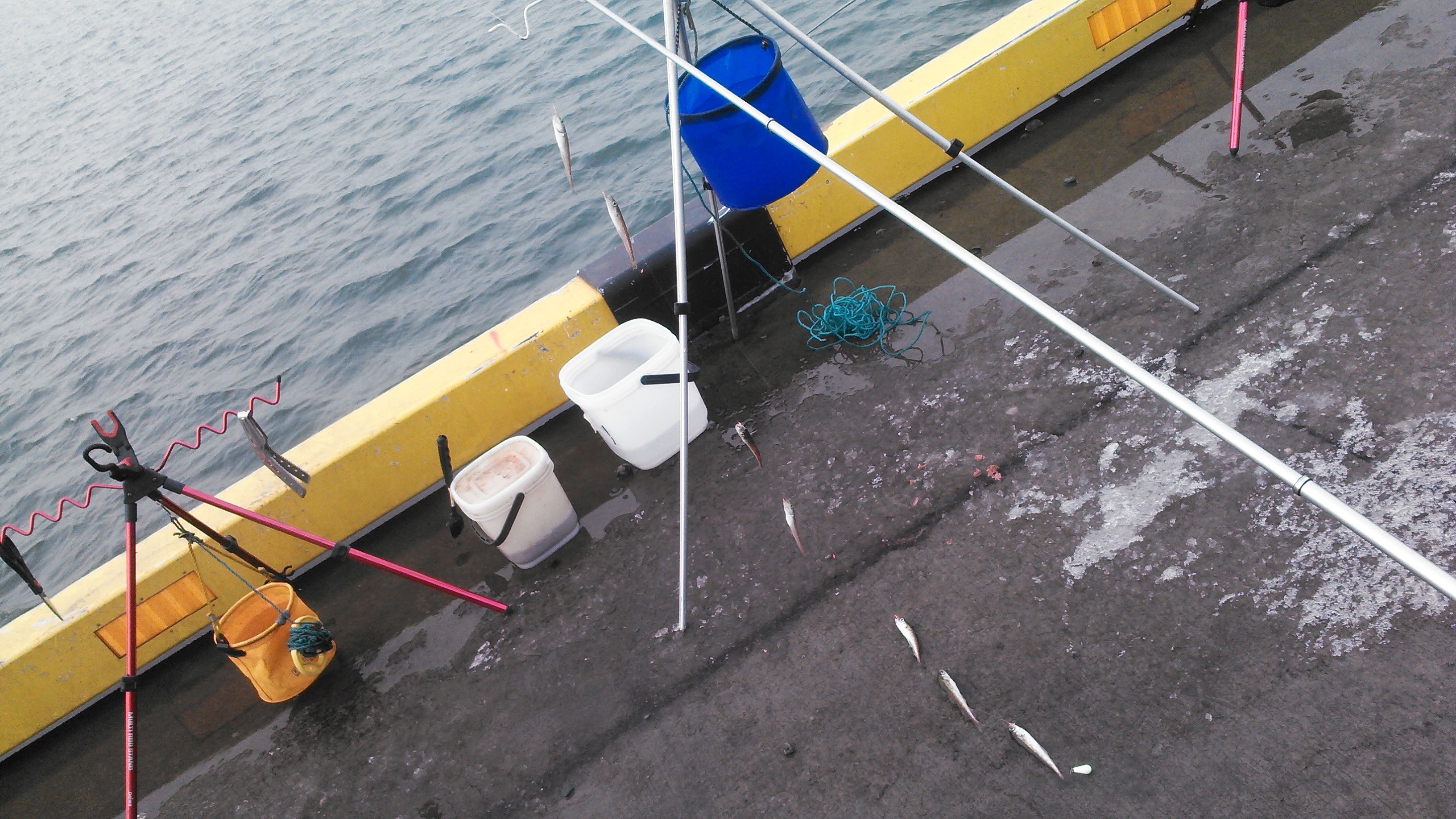 冬のサビキマッスィーン登場 笑 ａｉｒのブログ