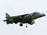 Harrier