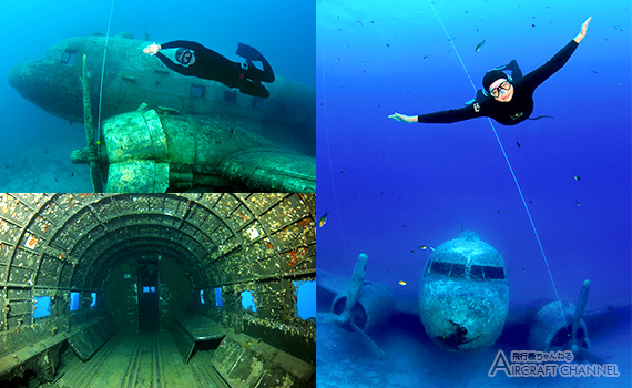 turkey-dc-3-reef