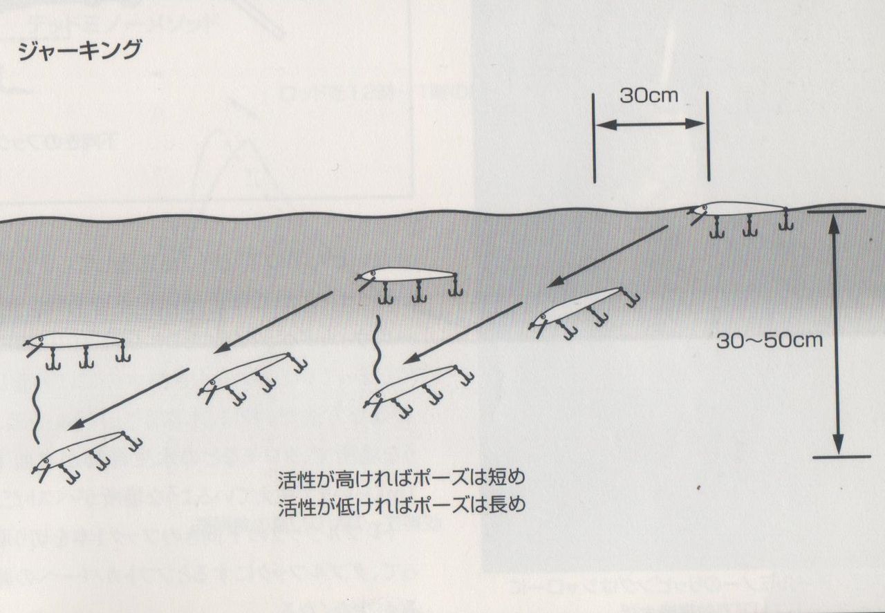 ミノー ジャークベイトの使い方とテクニック 釣りたいバス釣り日記 ミノー ジャークベイトの使い方とテクニック 釣りたいバス釣り日記