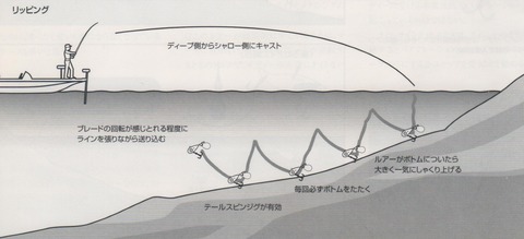 イメージ (46)