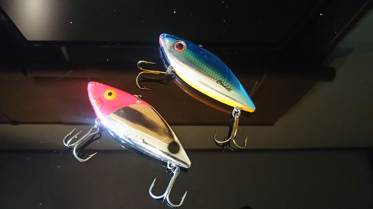 釣りたいバス釣り日記