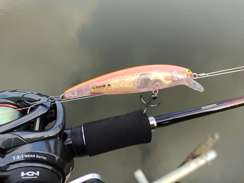 悩まずこれ!」スコーピオンXV 1581F-2のインプレ : 釣りたいバス釣り日記