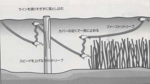 イメージ (57)