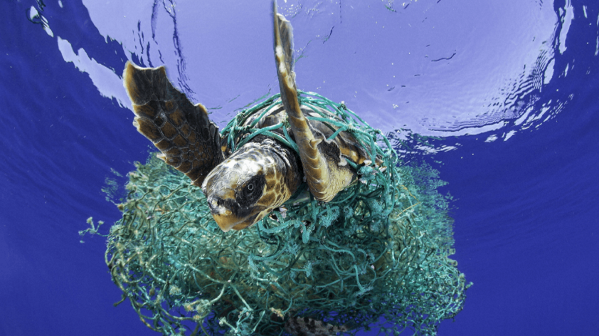 プラスチック問題とバスアングラーの行動 釣りたいバス釣り日記