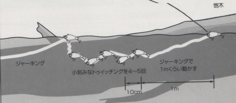 イメージ (57)