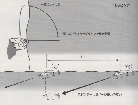 イメージ (29)