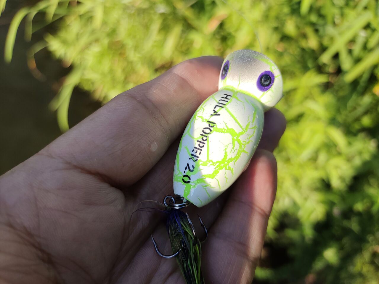 フレッドアーボガスト フラポッパー2.0のインプレ : 釣りたいバス釣り日記