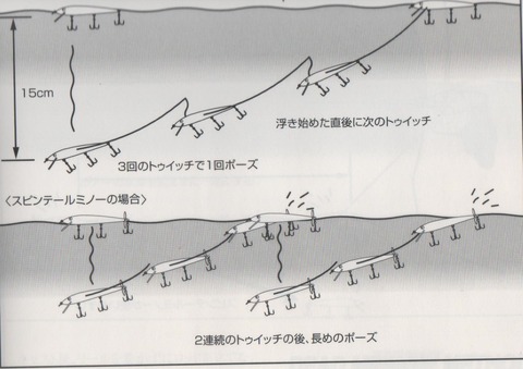 イメージ (28)