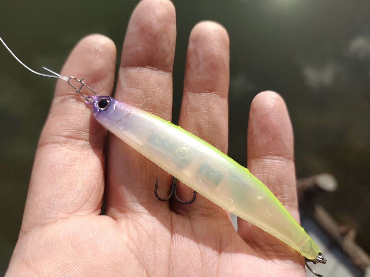 自慢 ヘドン プローラーをやっとこさ手に入れた 釣りたいバス釣り日記